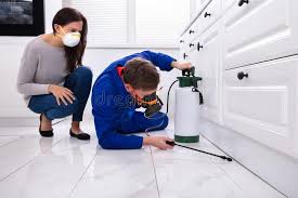 Best Fumigation Services  in Fairwood, MD